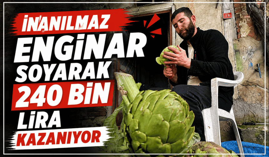 Enginar soyarak ayda 240 bin lira kazanıyor
