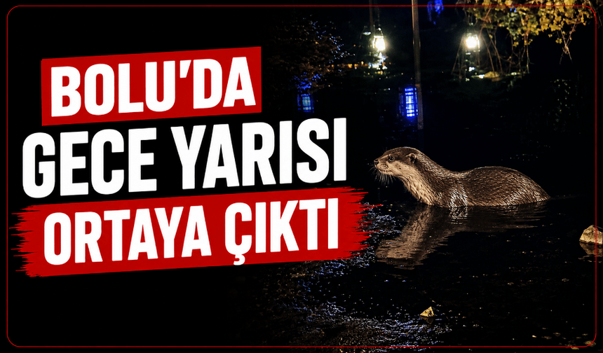 Gece saatlerinde görüldü vatandaşlar panik yaşadı
