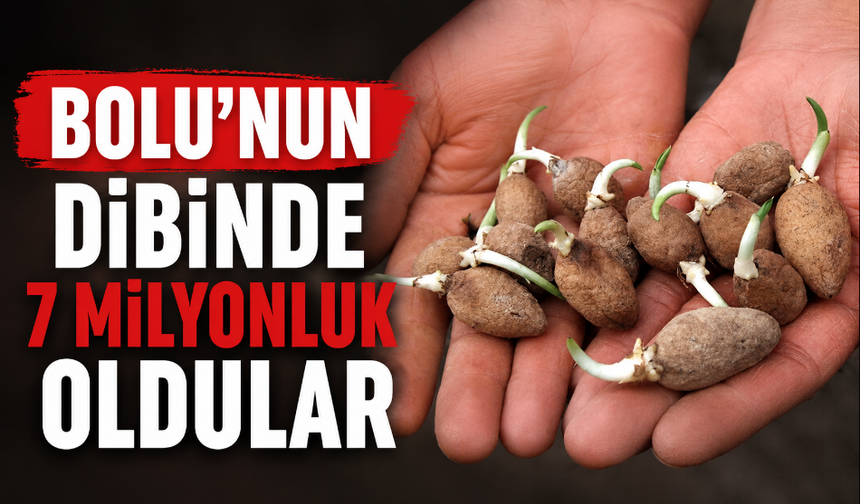 Gördüğünüzde anında uzaklaşın 7 milyonluk oldular