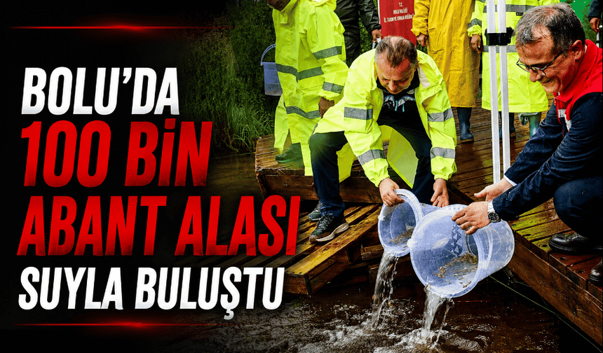 100 bin yavru Abant alası suyla buluşturuldu