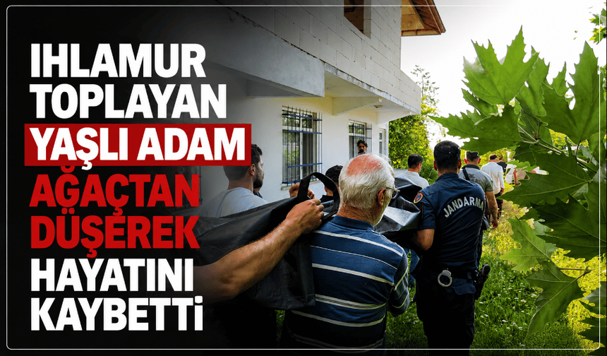 Ihlamur toplarken ağaçtan düşüp öldü