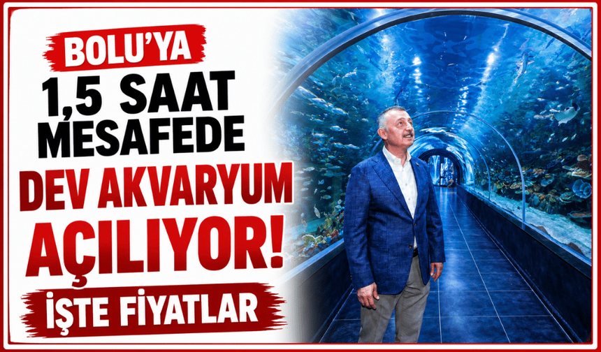 Bolu'ya 1 buçuk saat mesafede, dev akvaryum açılıyor