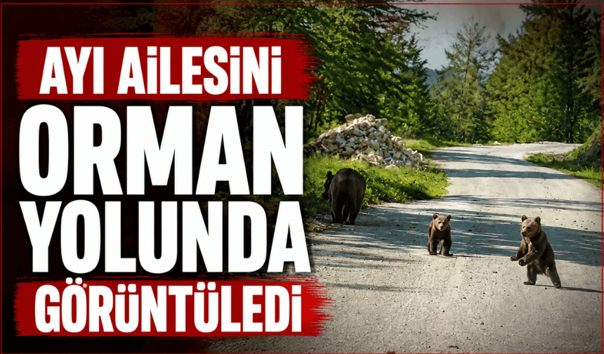 Kardeşlerin anne ayı ve yavruları ile sohbeti gülümsetti