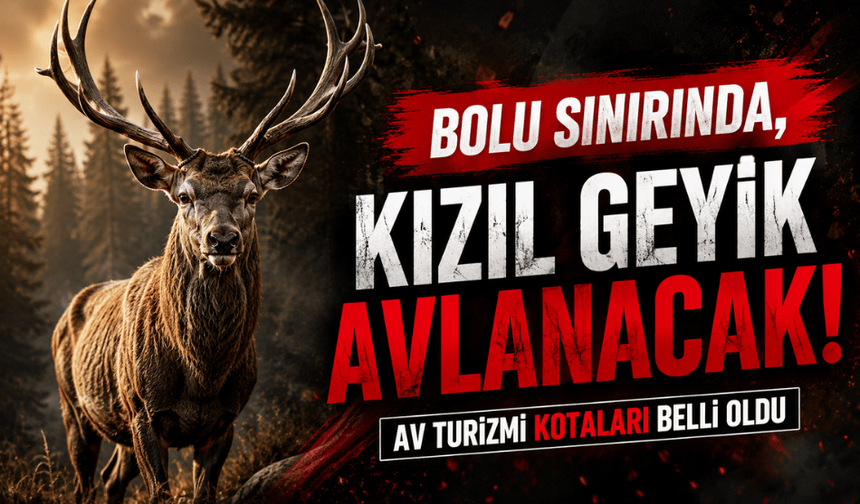 Bolu sınırında 2 Kızıl Geyik, turizm kapsamında avlanacak