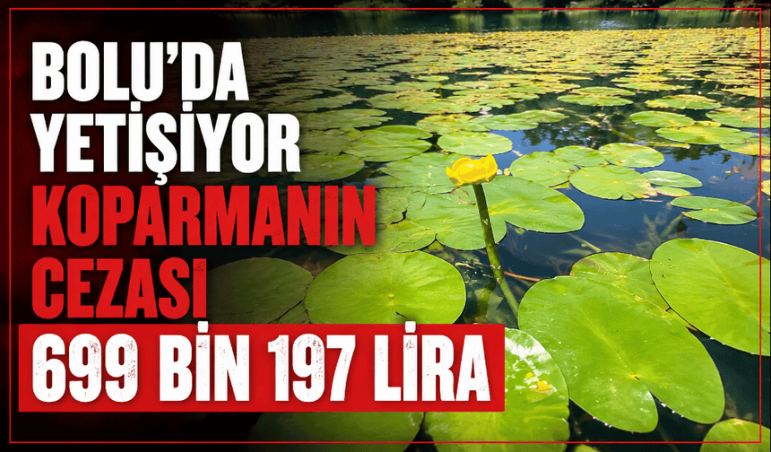 Nilüfer çiçeğini koparanlara rekor ceza kesilecek