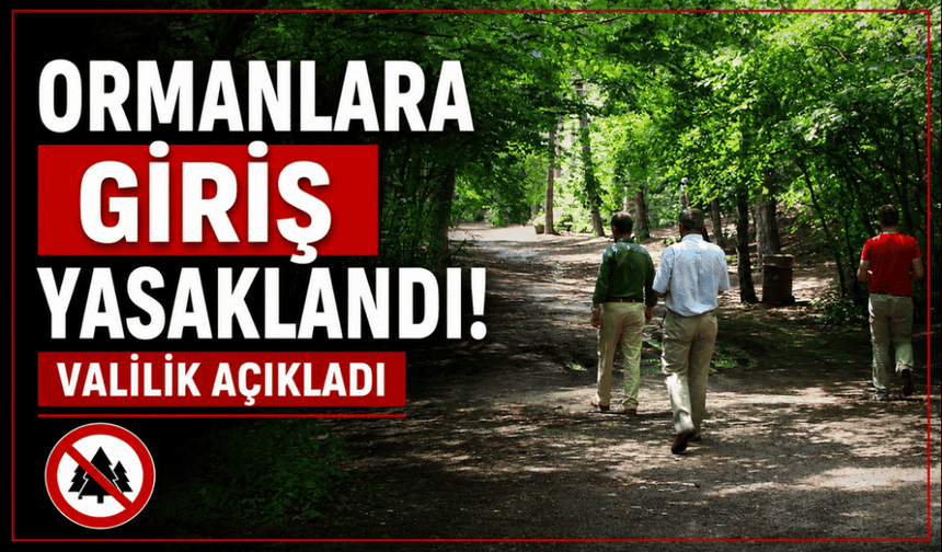 Ormanlara giriş yasaklandı Valilik açıkladı
