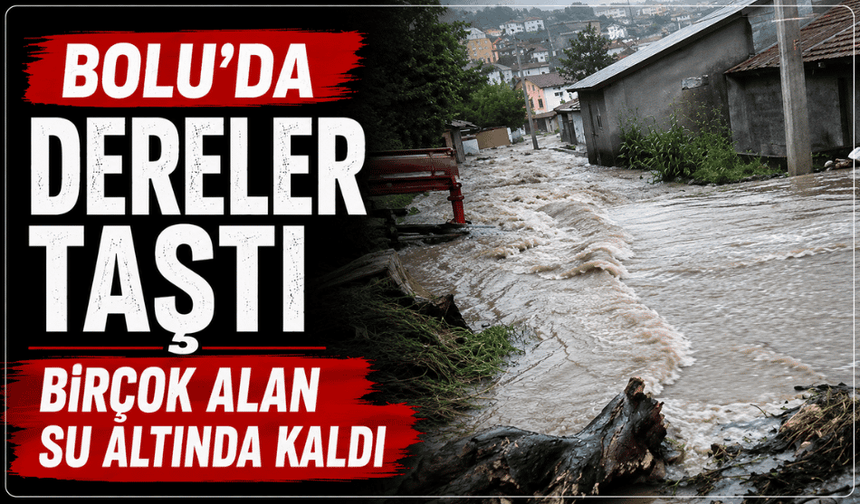 Sağanak yağış dereleri taşırdı bir çok alan su altında kaldı