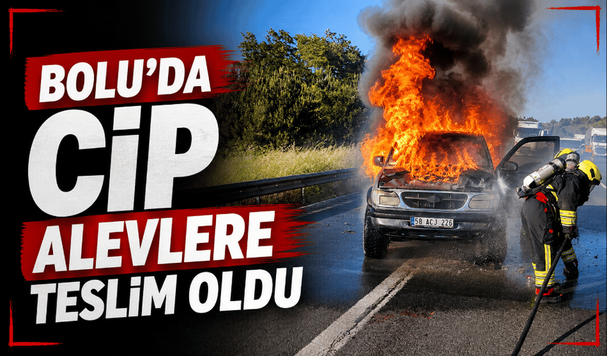 TEM Otoyolu’nda cip alevlere teslim oldu