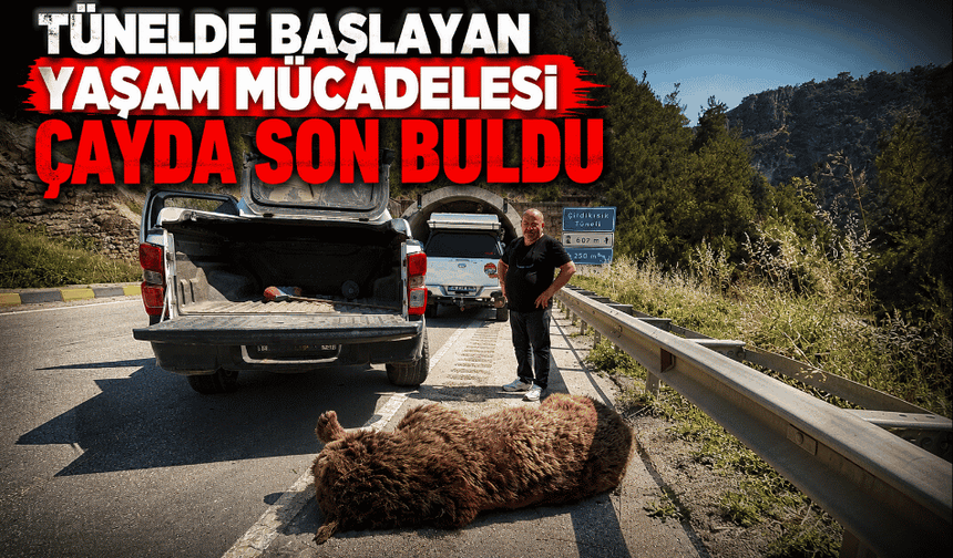 Tünelde başlayan yaşam mücadelesi çayda son buldu