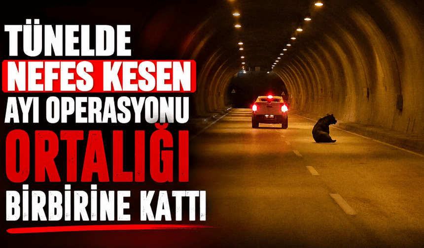 Tünelde nefes kesen ayı operasyonu