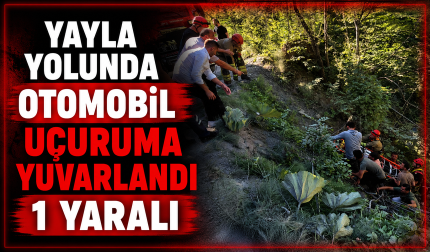 Yayla yolunda otomobil uçuruma yuvarlandı!