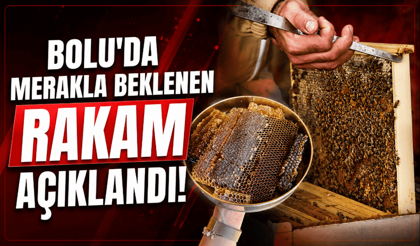 2026 yılı için tavsiye bal taban fiyatları belirlendi