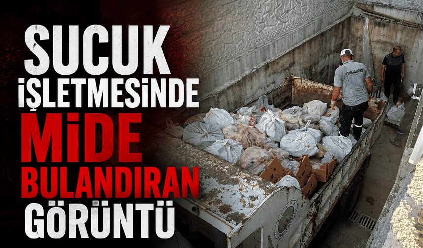 5 buçuk ton etiketsiz et ele geçirildi