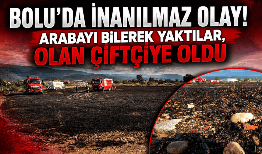 Bolu’da demirini satmak için arabayı yakanlar, 10 dönümü küle çevirdi