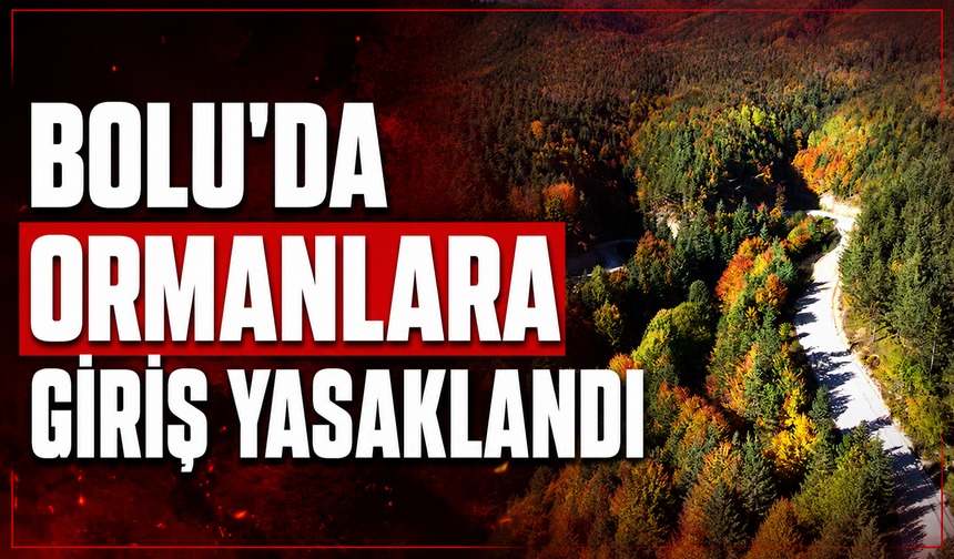 Bolu’da yangın riskine karşı ormanlık alanlara giriş yasaklandı