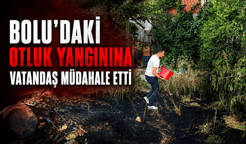 Bolu'da otluk alanda çıkan yangına, vatandaş müdahale etti