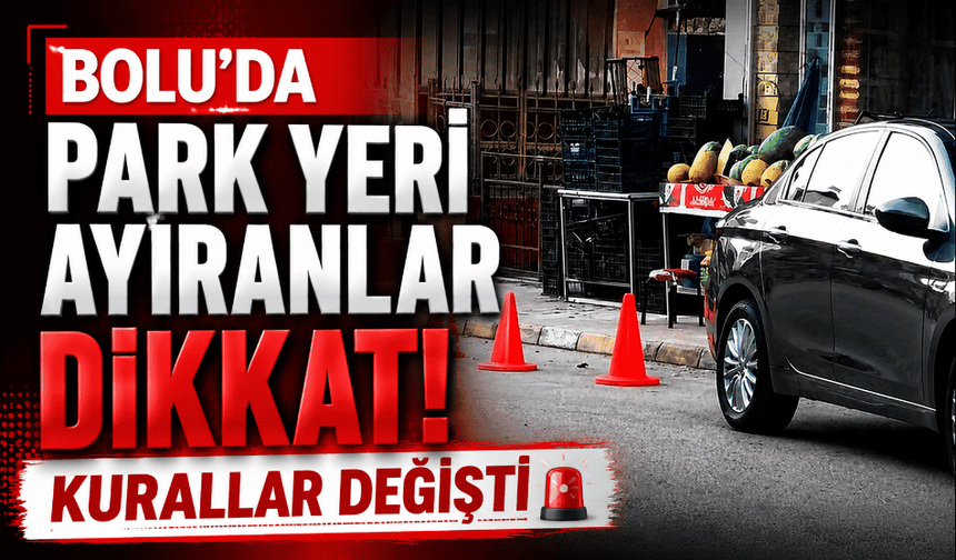 Duba, zincir, saksı... Yargıtay hepsine "dur" dedi