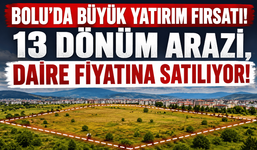 Bolu’da büyük yatırım fırsatı! 13 dönüm arazi, daire fiyatına!