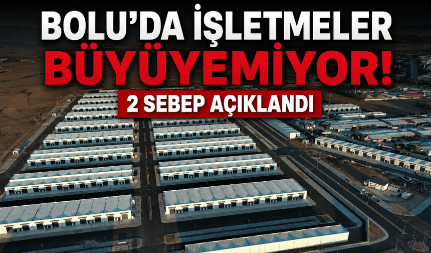 Bolu’da işletmeler büyüyemiyor: 2 sebep açıklandı