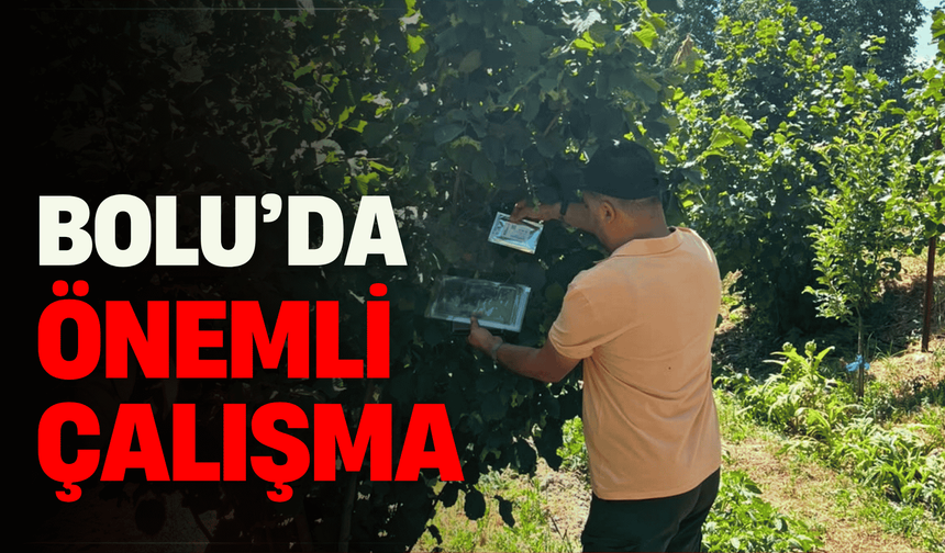 Fındık rekoltesi için sahadan veri toplandı