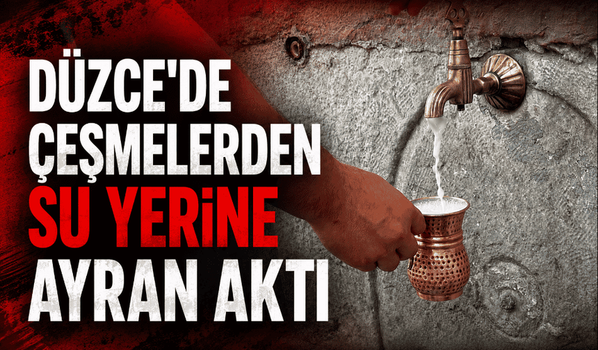 Düzce’de çeşmelerden su yerine ayran aktı