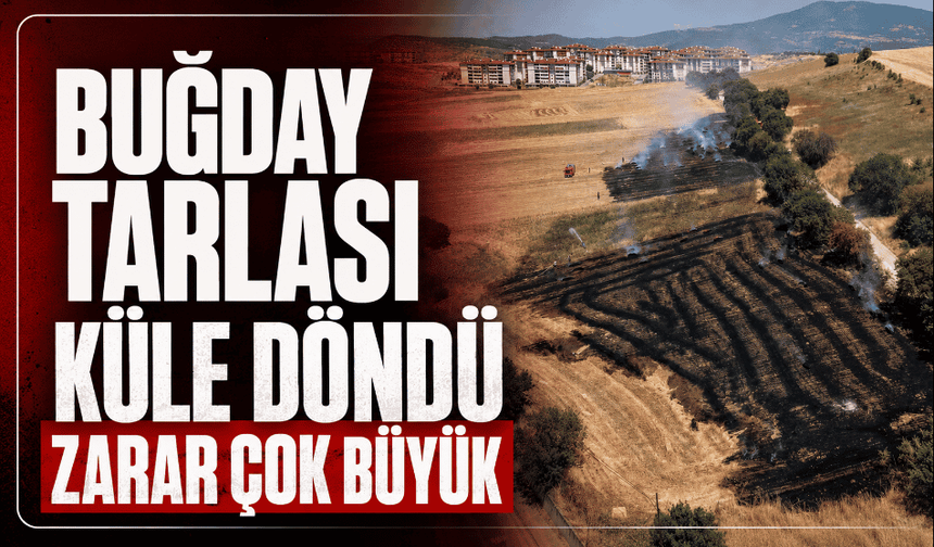 Ekin tarlasında çıkan yangında 3 dönüm alan zarar gördü