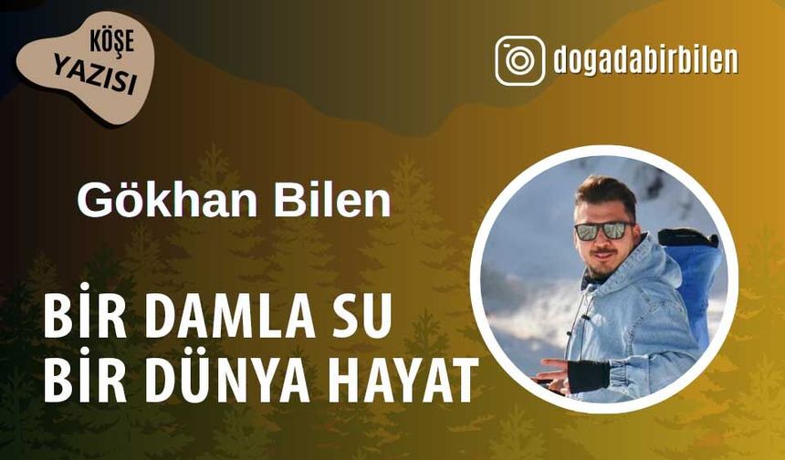 Bir damla su, bir dünya hayat
