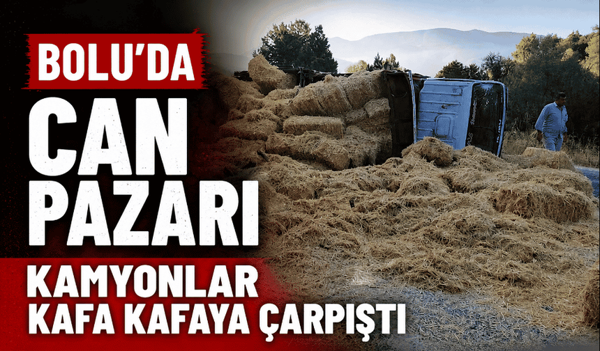 İki kamyon kafa kafaya çarpıştı: Samanlar yola saçıldı, 2 yaralı