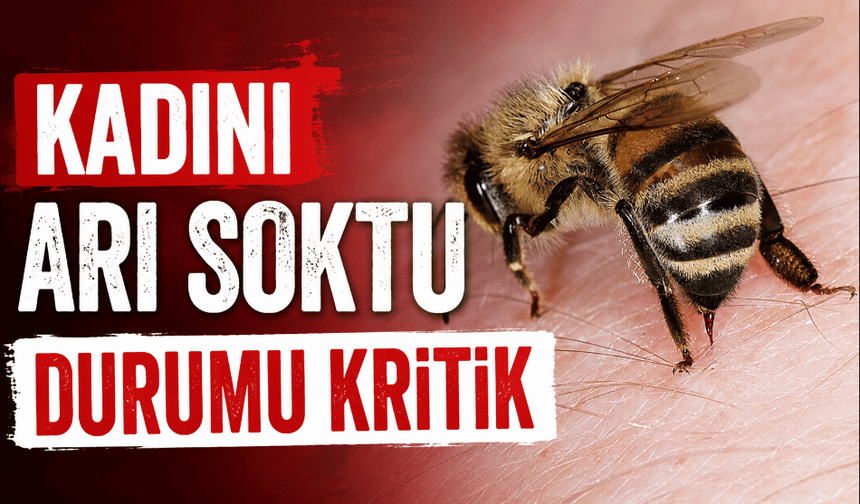 Kadını arı soktu yoğun bakıma alındı