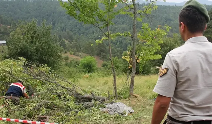 Kestiği ağacın altında kalan yaşlı adam hayatını kaybetti