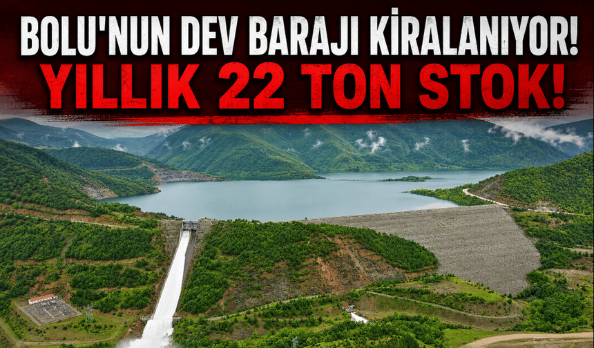 Bolu’daki Köprübaşı Baraj Gölü kiralanıyor: yıllık 22 ton stok!