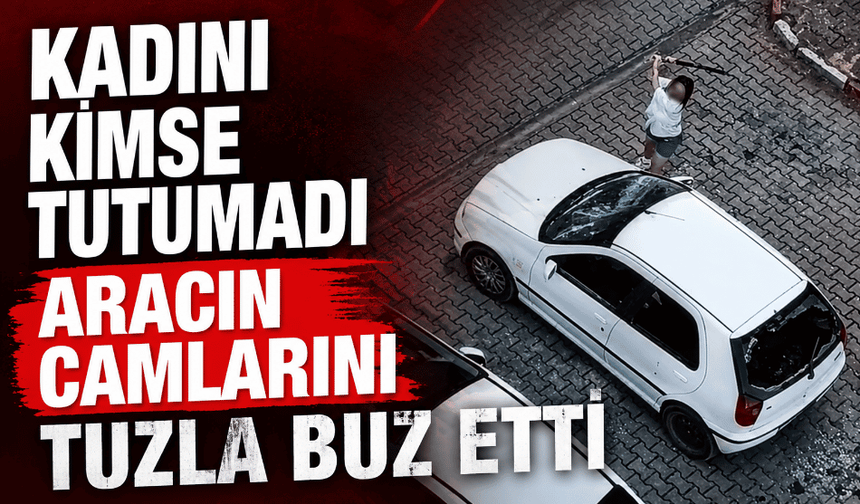 Park halindeki otomobilin camlarını kıran kadın kamerada