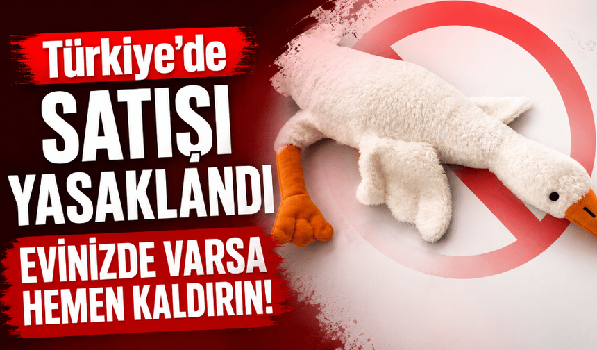 Türkiye’de peluş kaz'ın satışı yasaklandı evinizde varsa hemen kaldırın