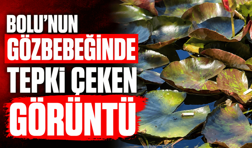 Türkiye'nin doğa mirasında pes dedirten görüntü