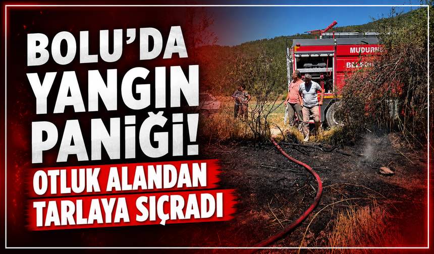 Bolu'da otluk alanda çıkan yangın buğday tarlasına sıçradı
