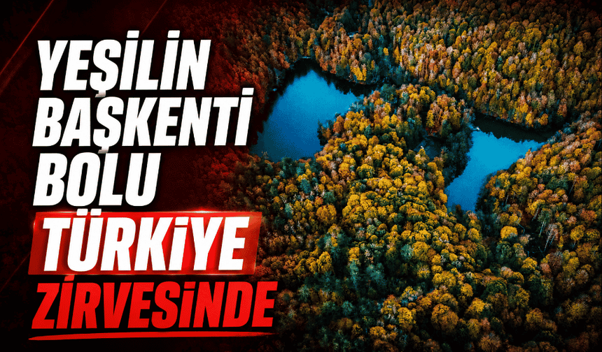 Türkiye’nin en yeşil illeri belli oldu! İşte orman oranı en yüksek 10 şehir