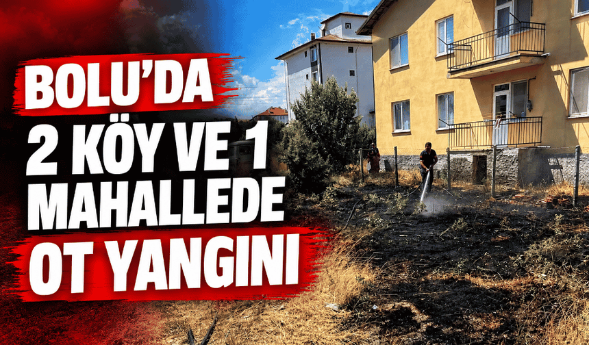 2 köy ve 1 mahallede ot yangını