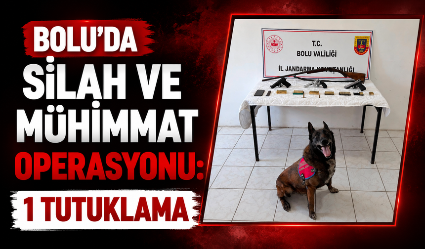 Bolu’da silah ve mühimmat operasyonu: 1 tutuklama
