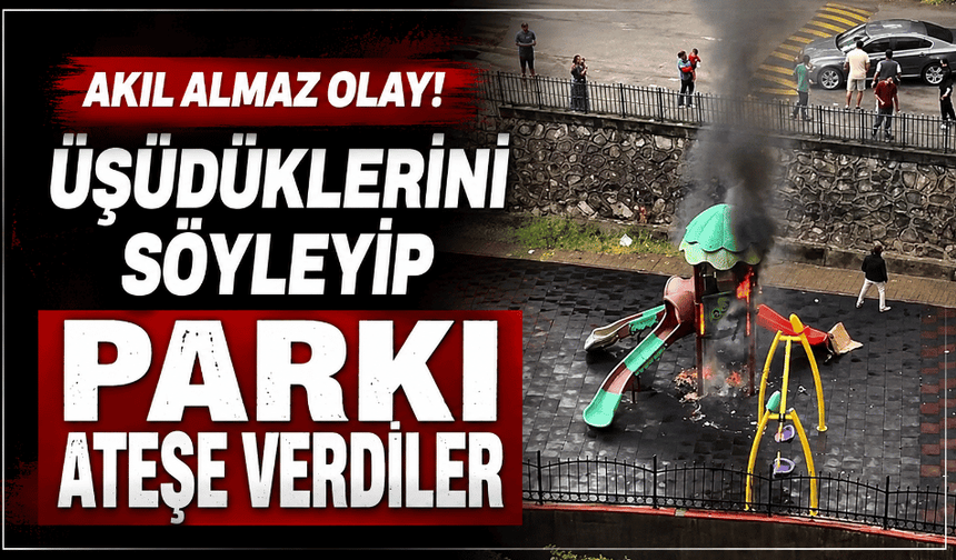 Akıl almaz olay! üşüdüklerini söyleyip parkı ateşe verdiler