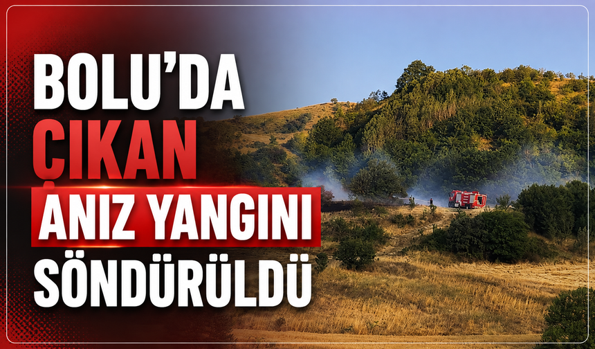 Bolu'da  çıkan anız yangını söndürüldü