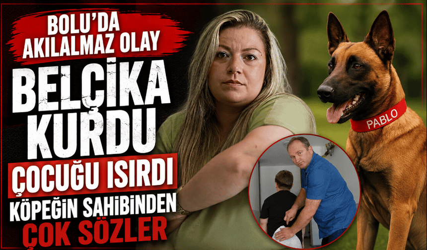 Belçika kurdu çocuğu kalçasından ısırdı, sahibinin sözleri pes dedirtti