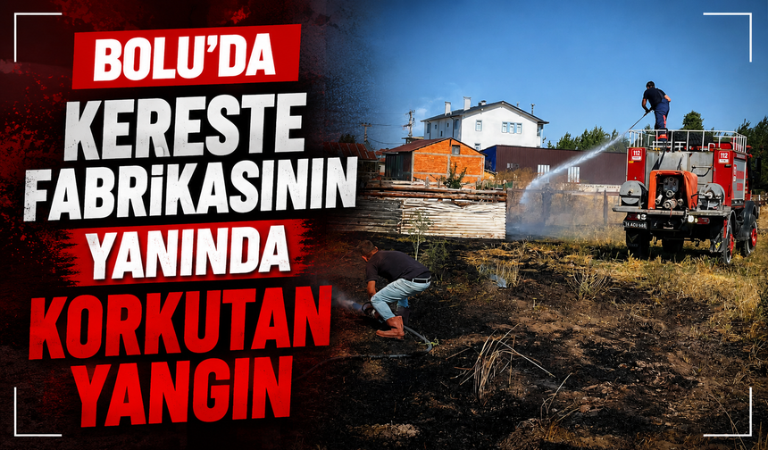 Bolu’da kereste fabrikasının yanında korkutan yangın