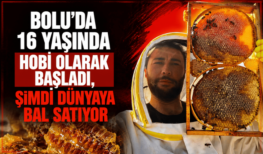 Bolu’da 15 yıllık arıcılık serüveni: Dünyanın dört bir yanına bal gönderiyor
