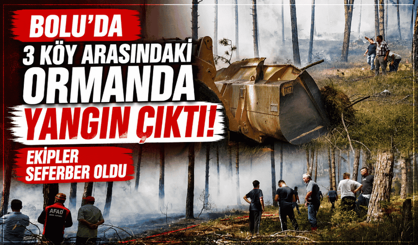 Bolu’da 3 köy arasındaki ormanda yangın çıktı! Ekipler seferber oldu