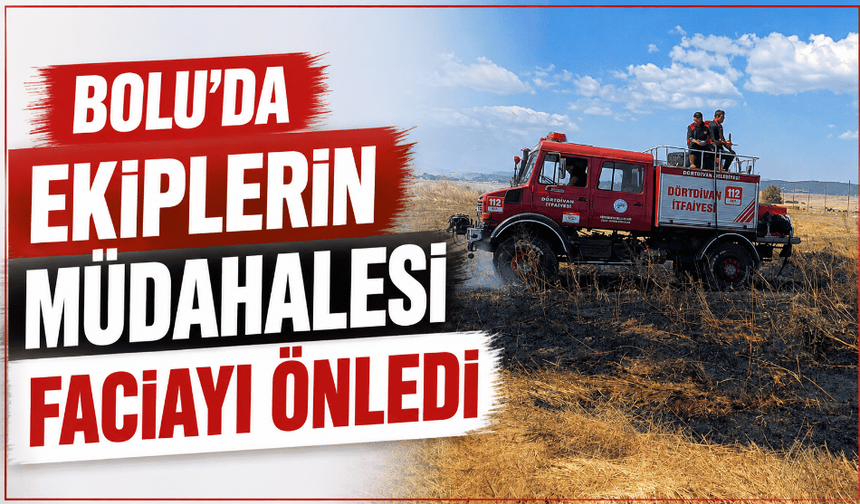 Bolu’da anız yangını büyümeden söndürüldü