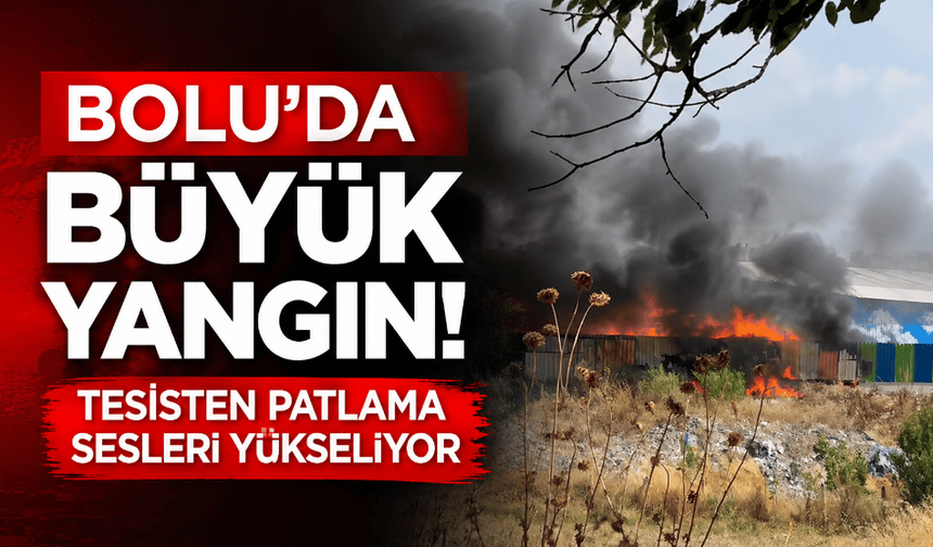 Bolu’da büyük yangın! Tesisten patlama sesleri yükseliyor