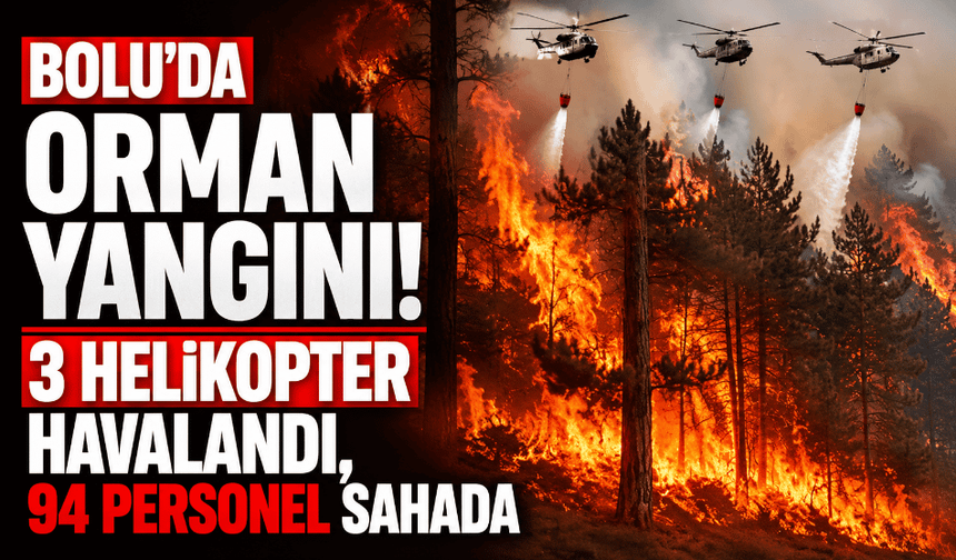 Bolu’da orman yangını! 3 helikopter havalandı, 94 personel sahada