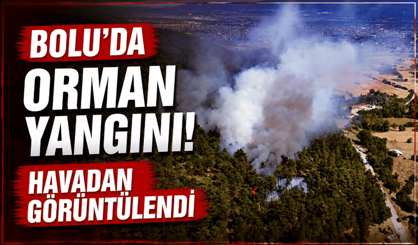Bolu’da orman yangını! Havadan görüntülendi