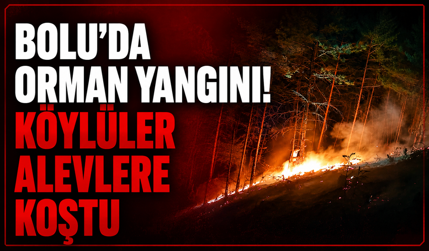 Bolu'da orman yangını paniği: Köylülerin hızlı müdahalesi faciayı önledi