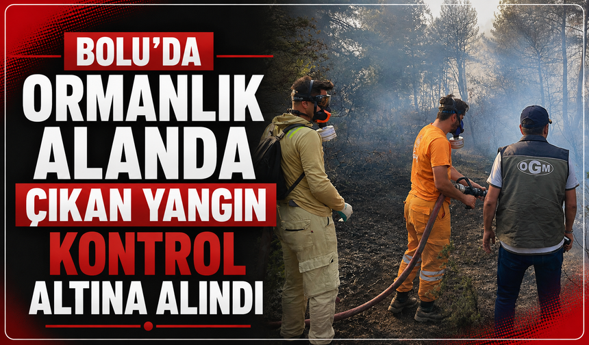 Bolu’da ormanlık alanda çıkan yangın kontrol altına alındı